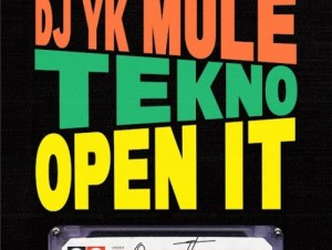 Dj Yk Mule ft. Tekno – Open It